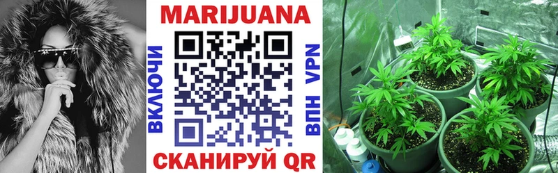 Бошки марихуана OG Kush  Высоцк 
